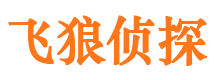 紫金市私家侦探